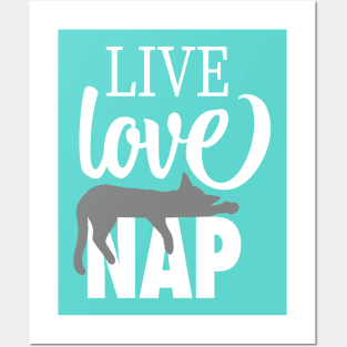 Live Love Nap Sleepy Grey Cat - Lazy Day Kitty Lover Posters and Art